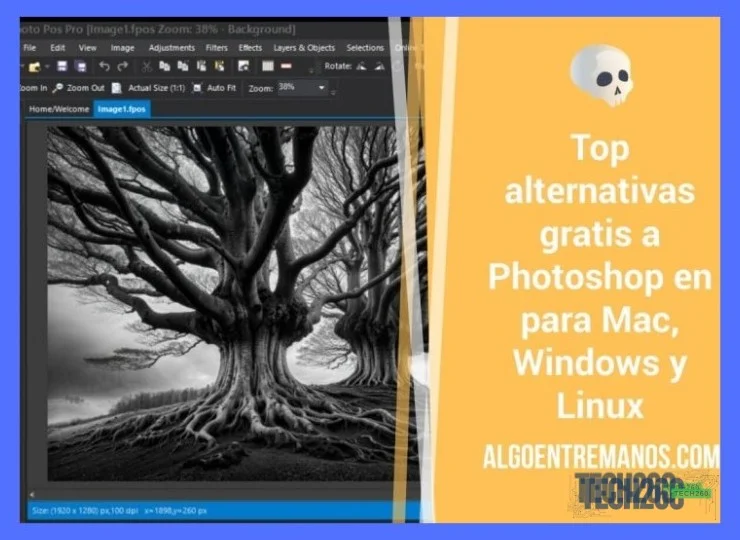 ¿Es seguro usar software gratuito de diseño? ¿Puedo evitar virus o malware?