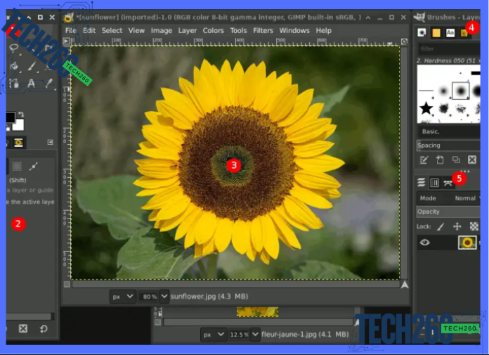 alternativas gratuitas Photoshop