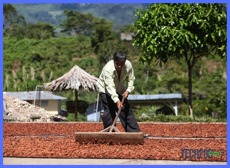 Soluciones agrícolas con materiales reciclados en América Latina